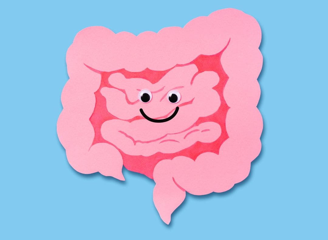 cartoon image of a<br /> happy colon