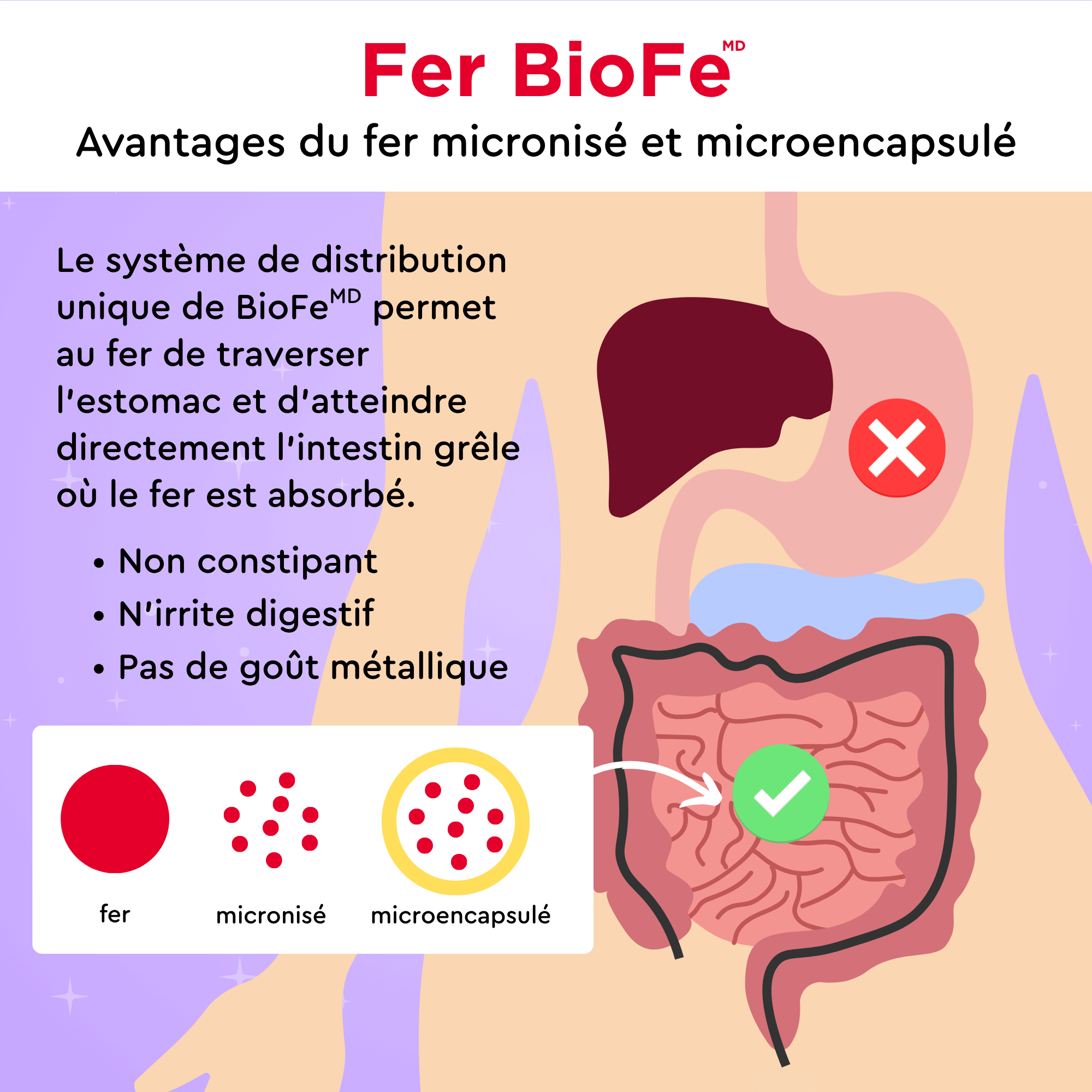 Avantages du fer micronisé et microencapsulé BioFe Iron